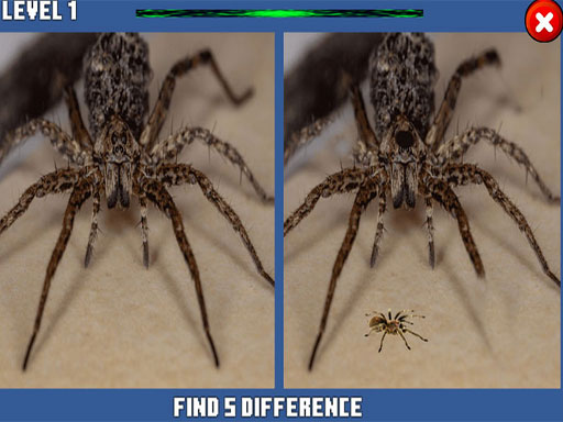 Spider Hidden Difference gameplay preview